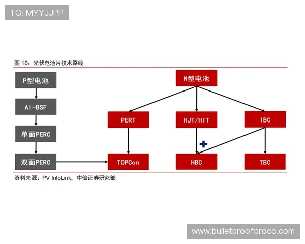分析PT电子构型变化对电子传输效率的影响及其调节途径